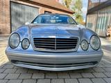 Mercedes-Benz CLK 55 AMG Cabrio - Mercedes-Benz: Clk AMG 55