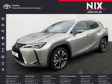 Lexus UX 250h 2.0 Hybrid Style Edition LED - Lexus UX aus 2020