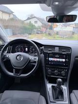 Volkswagen Golf 1.5 TSI ACT OPF Highline Variant Highline - Firmenfahrzeug gebraucht