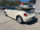 Volkswagen Beetle 1.4 Cabriolet - Volkswagen New Beetle: Beige