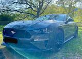 Ford Mustang 5.0 Ti-VCT V8 GT MagneRide - Ford Mustang in Saarbrücken
