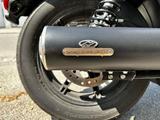 Harley-Davidson Nightster + Jekyll&Hyde Klappenauspuff + Sirene - HARLEY-DAVIDSON NAKED BIKE