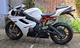Triumph Daytona 675 R - TRIUMPH DAYTONA 675