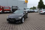 BMW 430 i Gran Coupe Luxury Line Leder HeadUp Kamera - BMW 430 in Stuttgart