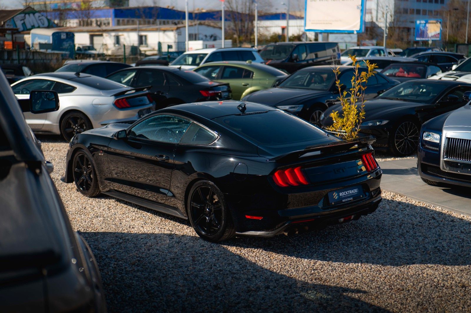 Fahrzeugabbildung Ford Mustang Shelby GT 500 5.0 V8 Performance PREMIUM