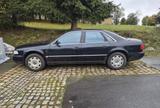 Audi A8 D2 4.2 Quattro Prins-Gas EINMALIGE... - Audi A8 mit LPG-Antrieb