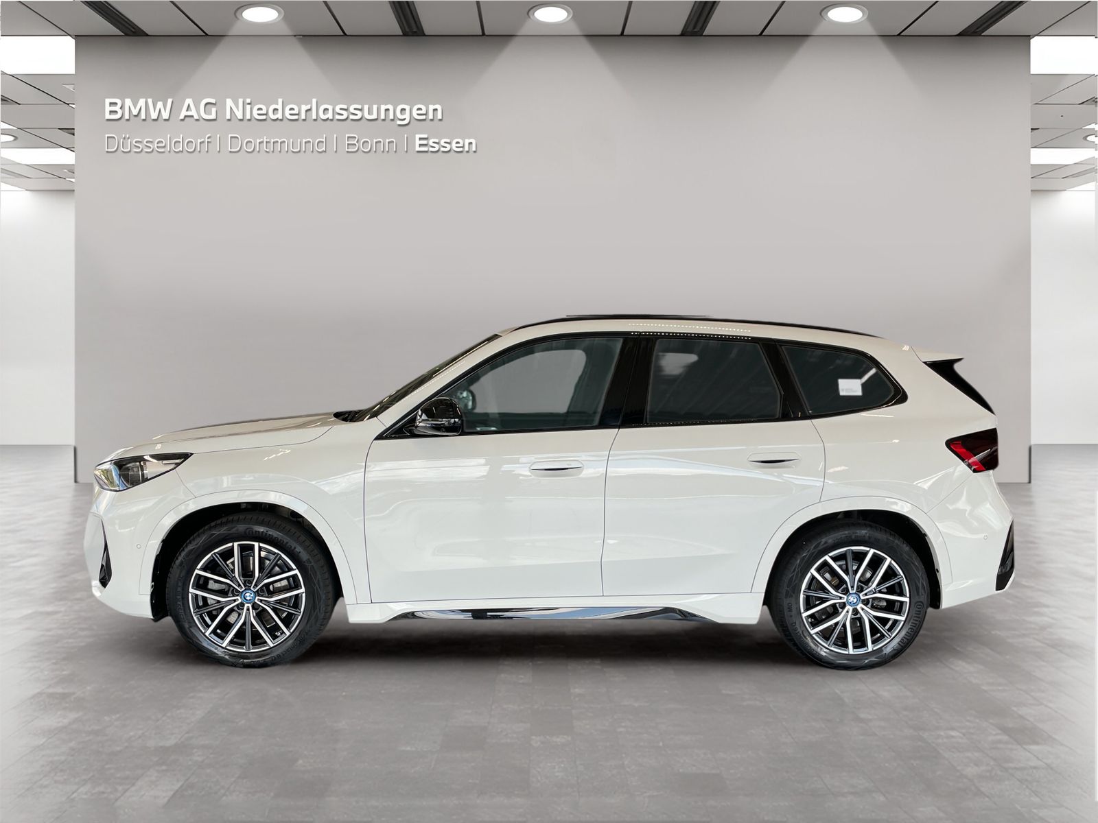 BMW iX1 xDrive30 M Sport Driv.Assist.Prof Harman K foto 3