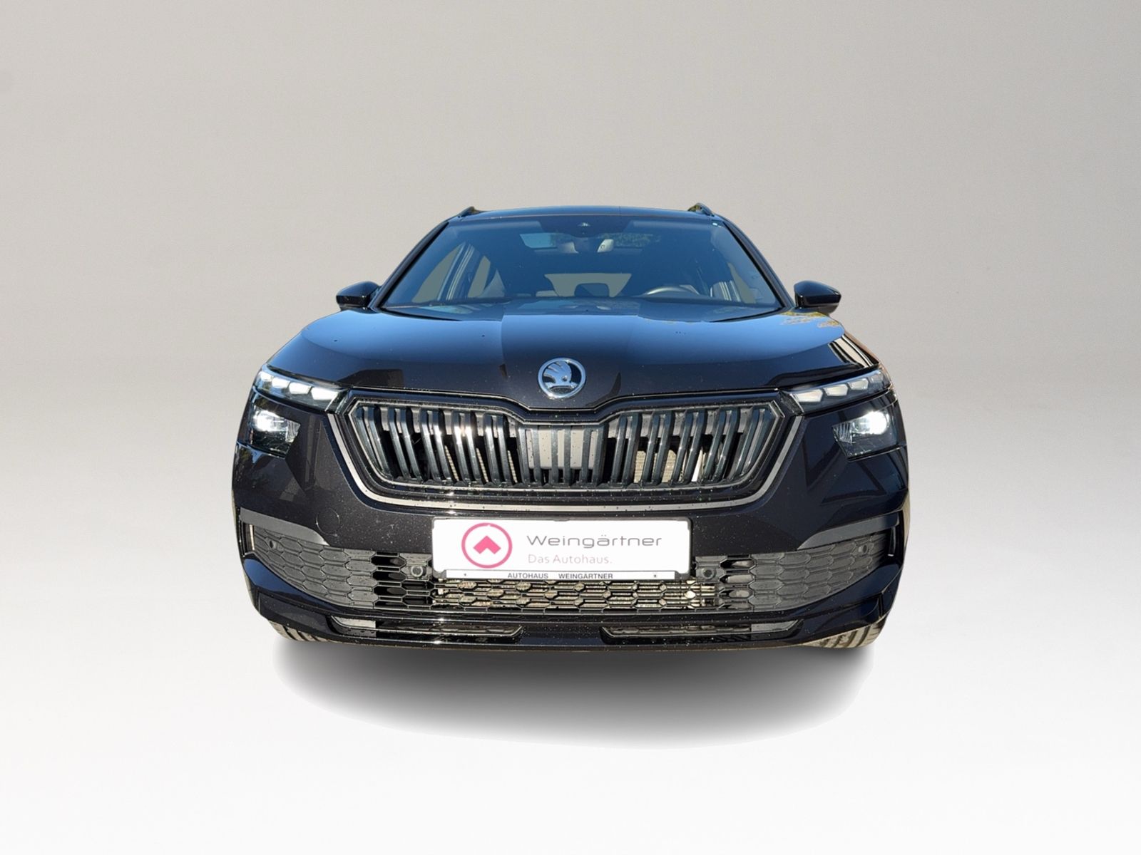 Kamiq 1.5 TSI Monte Carlo, Business Amundsen, vi