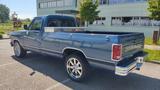 Dodge D100 Pickup Dodge RAM US - Dodge Oldtimer: Pickup
