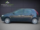 Fiat PUNTO 1.2 8V/5-TRG/TÜV-MÖGL./KLIMA/EL-F/ZV/SERVO - Fiat Punto aus 2005: 1.2