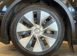 Tesla Model Y RWD - Tesla Model Y mit Elektro-Antrieb