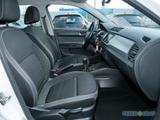 Skoda Fabia Combi Ambition Klima Apps Sitzhzg Tempomat - Skoda Fabia Gebrauchtwagen in Nürnberg