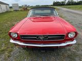Ford Mustang Cabrio - gebrauchte Ford Mustang aus dem Jahr 1964