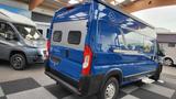 Knaus BoxStar 600 Family 600, TV, Maxi erst 37tkm,top - Knaus Tk