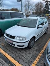 Volkswagen VW Polo 6N II - Volkswagen Polo: Ii
