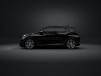 Cupra Raval - Vorschau Bild 4