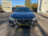 BMW 220 Baureihe 2 Coupe 220 d xDrive Luxury Line - BMW 220: Xdrive