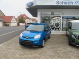 Fiat Panda 1.0 GSE Pandina Hybrid City Paket Radio - Fiat Tageszulassungen