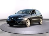 Seat Ibiza 1.9 TDI PD 77kW Stylance Stylance - Seat Ibiza aus 2007: TDI