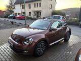 Volkswagen Beetle 1.2 TSI BMT ALLSTAR Cabrio Xenon Kam Navi - Volkswagen Beetle in Wuppertal