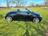 Ford Streetka 1.6 - - schwarze Ford Streetka