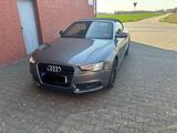 Audi A5 2.0 TDI 140kW Cabriolet - - Audi A5 in Mönchengladbach