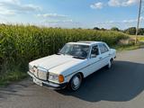 Mercedes-Benz Mercedes W123 240D TÜV Neu H-Kennzeichen R... - Mercedes-Benz 240: W123 240d