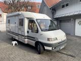 Fiat Ducato - Fiat 2000