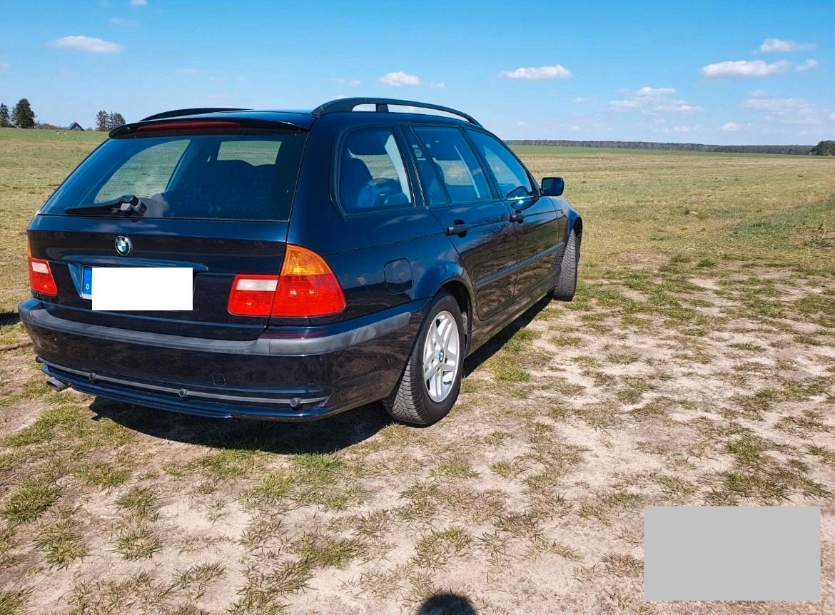 BMW 316 2005 — вигляд ззаду