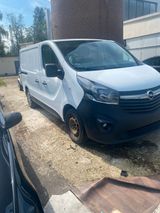 Opel Vivaro - Opel Vivaro aus 2015