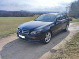 Mercedes-Benz BlueEFFICIENCY: 2.Hand/HK/Leder -  - Mercedes-Benz E 350 mit Benzin-Antrieb: Kombi