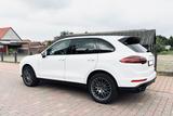 Porsche Cayenne Diesel Platinum Edition BOSE Top Zustand - Porsche Gebrauchtwagen in Salzgitter