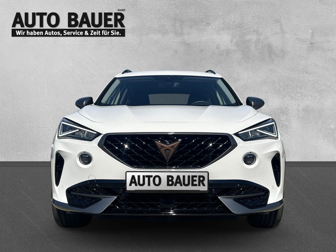 Fahrzeugabbildung CUPRA Formentor 2.0 TDI 6-Gang