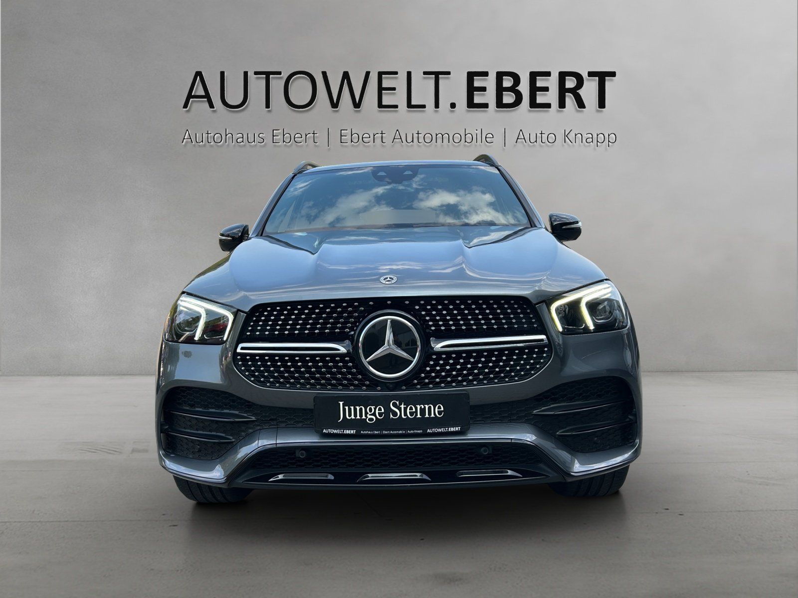 Fahrzeugabbildung Mercedes-Benz GLE 450 AMG Pano DISTRO Memo AIRMATIC Night 360°
