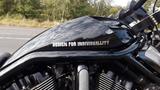 Harley-Davidson Night Rod Special CUSTOM UMBAU - HARLEY-DAVIDSON CUSTOM UMBAU