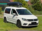 Volkswagen Caddy 1.2TSI Benzin TÜV, Bremse... - Volkswagen Caddy: Volks