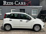 Fiat Panda 1.2 Pop/34TKM/I.HAND/ALLWETTER/TÜV-NEU/ - gebrauchte Fiat Panda aus dem Jahr 2014