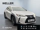 Lexus UX 250h Amazing Edition *Kamera*SHZ*PDC*LED*TOP* - Lexus UX aus 2020