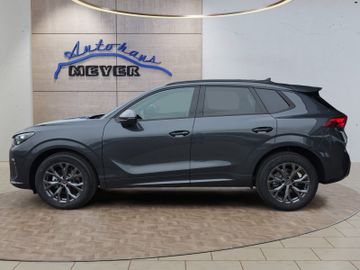 Cupra Terramar - 2