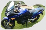 Honda CBF 600 SA ABS PC38 - HONDA 2006 CBF 600
