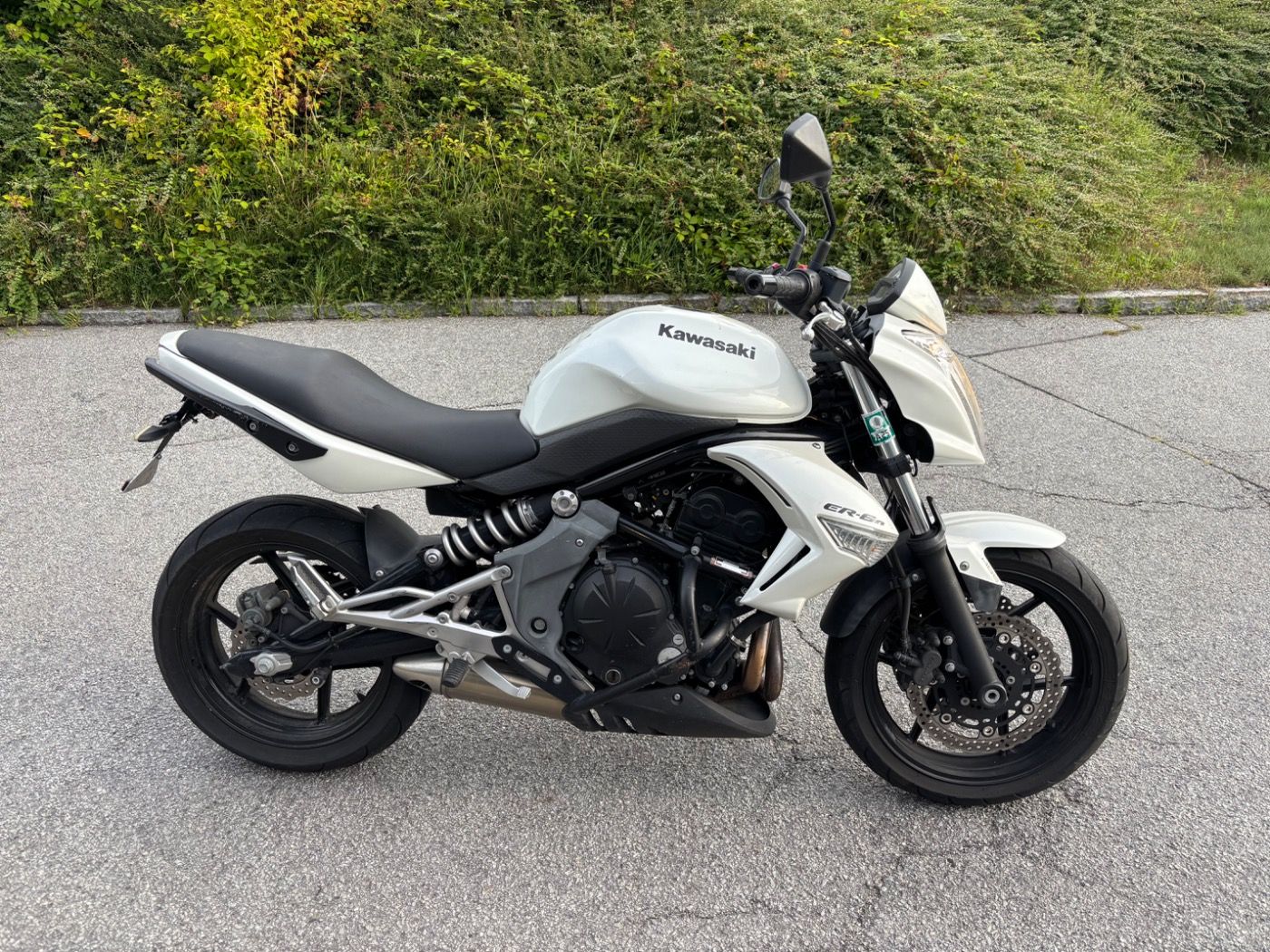Fahrzeugabbildung Kawasaki ER 6 N ABS