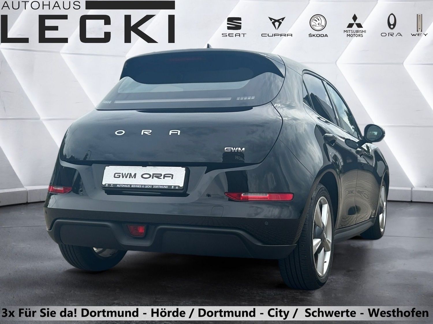 GWM Ora 03 - Bild 3