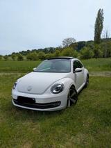 Volkswagen Beetle 1.2 TSI Fender Edition Fender Edition - Volkswagen Beetle: Fender Edition