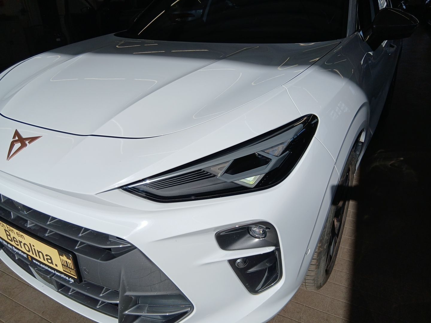 Cupra Terramar - Bild 9