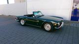 Andere Triumph TR6 Oldtimer Cabrio US-Modell - Andere: Modell
