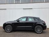 Porsche Macan 2.0 Leder/Kamera/21 Zoll/1.Hand - Porsche Macan Gebrauchtwagen in Hamburg