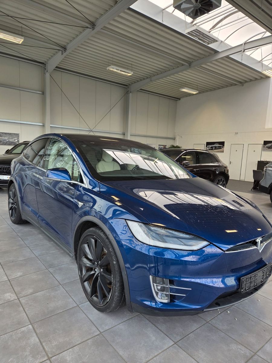 Fahrzeugabbildung Tesla Model X 100 D /AHK abnehmbar