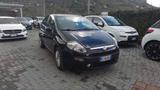 Fiat Punto Evo 1.3 Mjt 75 CV 5 porte Active - Fiat Punto Evo: Active