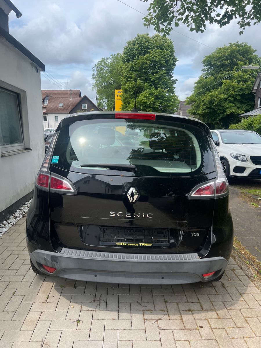 Fahrzeugabbildung Renault Scenic III Paris