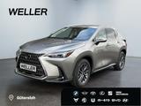 Lexus NX 450h+ E-FOUR Executive Line *AHK*Leder*360Gra - Lexus NX-Serie in Bielefeld